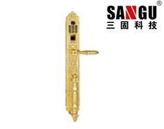 指纹锁 密码锁厂家 三固科技